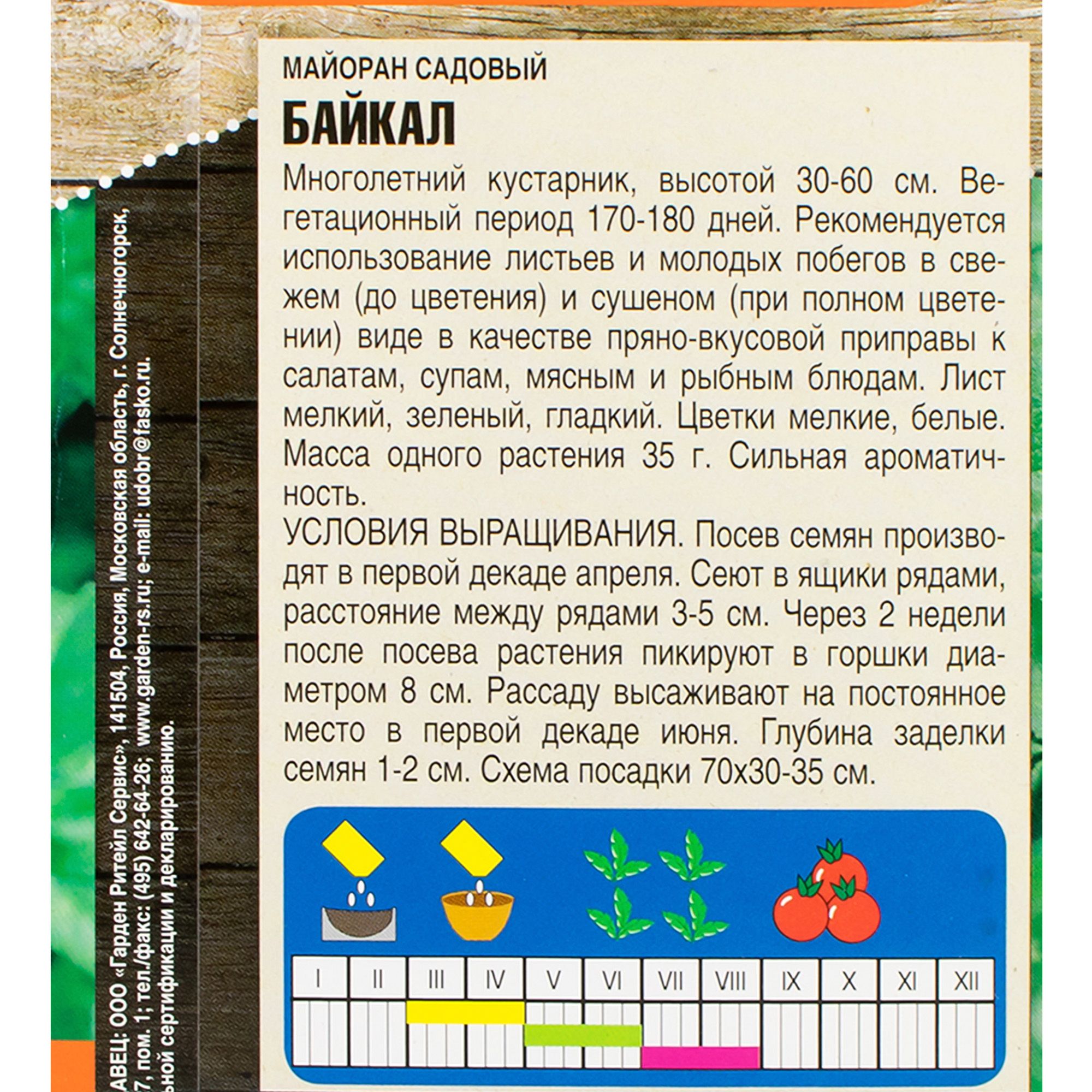 Майоран Байкал  0,1 г Тимирязевский питомник