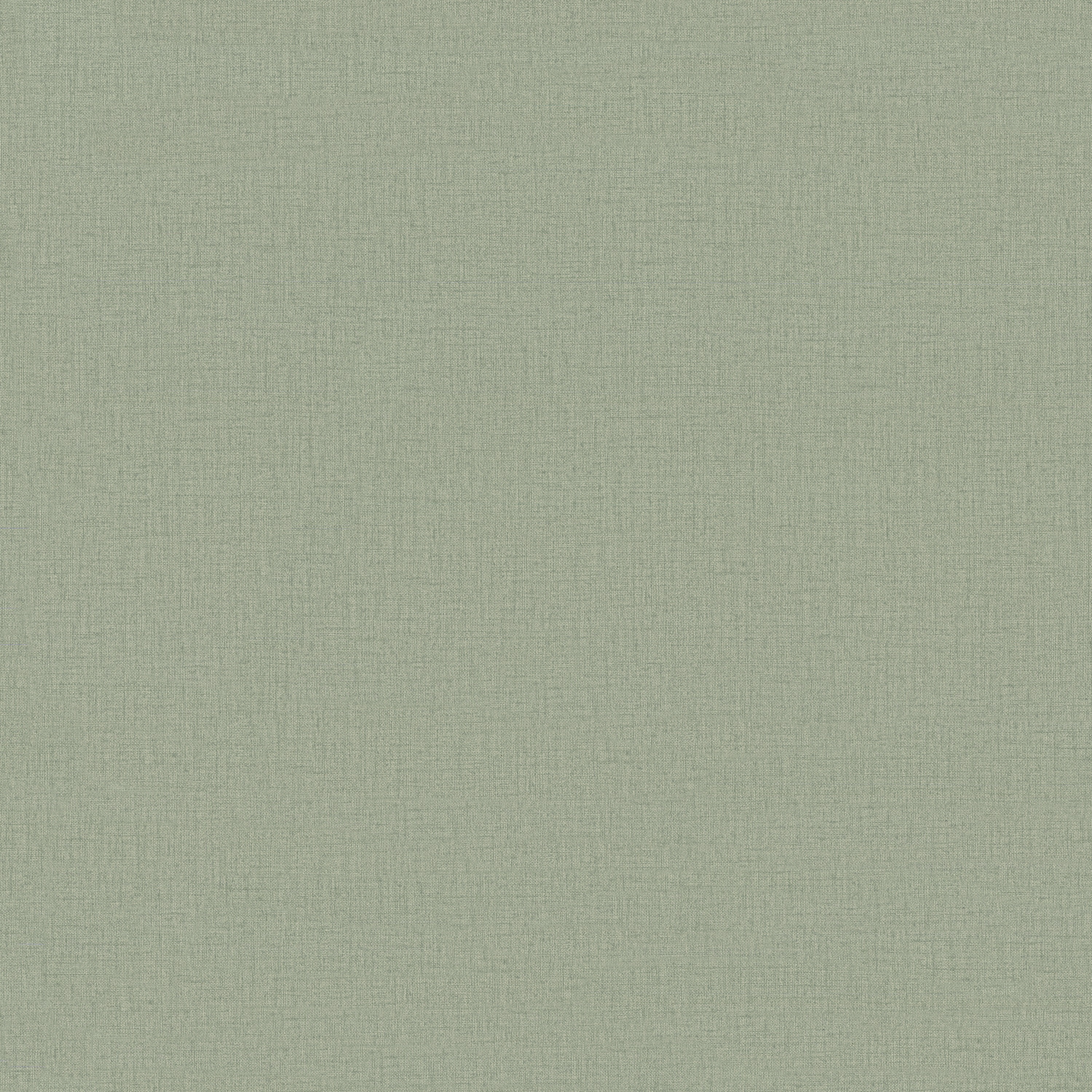 Обои Euro Decor Base 7302-10 оливковые однотонные 1,06х10,05 м